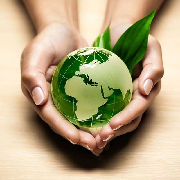 A person holding a green globe with leaves in their hands.